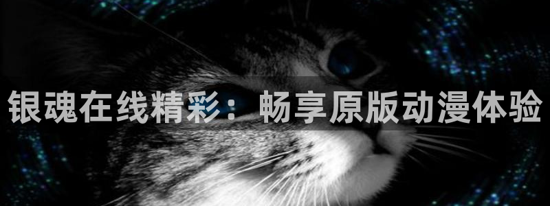 omofun免费正版下载：银魂在线精彩：畅享原版动漫体验