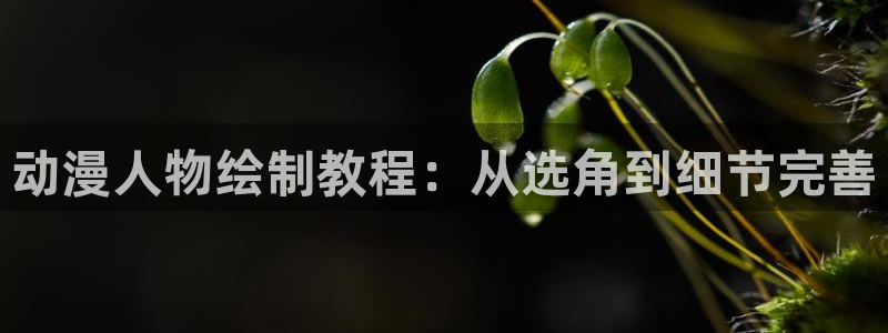 omofun动漫官网网页版入口：动漫人物绘制教程：从选角到细节完善