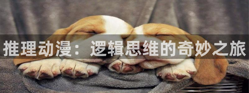 omofun动漫下载ios版：推理动漫：逻辑思维的奇妙之旅