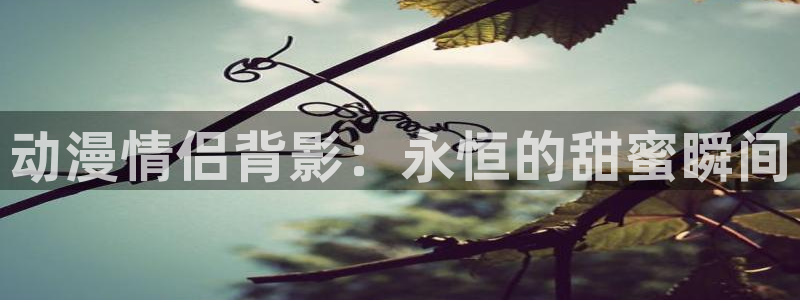 omofun轻量版：动漫情侣背影：永恒的甜蜜瞬间