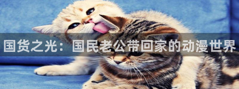 omofun安卓：国货之光：国民老公带回家的动漫世界
