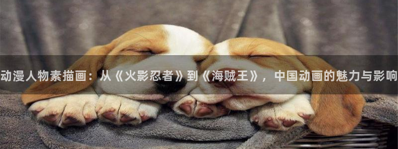 omofun.on：动漫人物素描画：从《火影忍者》到《海贼王》，中国动画的魅力与影响