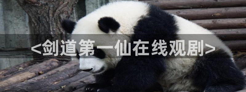 omofun最新纯净版：<剑道第一仙在线观剧>